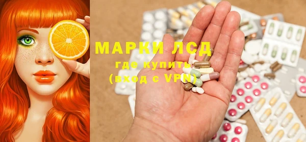 ГАЛЛЮЦИНОГЕННЫЕ ГРИБЫ Алзамай