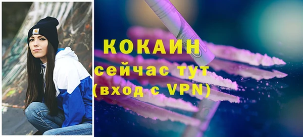 не бодяженный Алексин