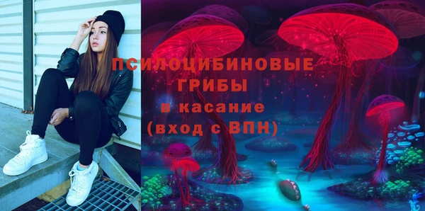 a pvp Алексеевка