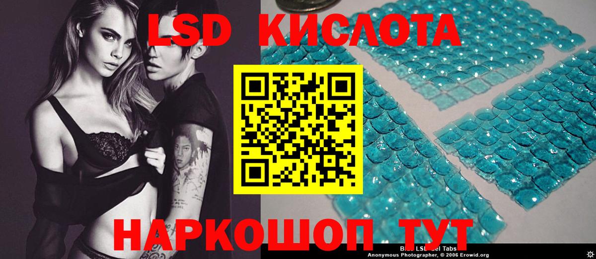 Галлюциногенные грибы Аргун