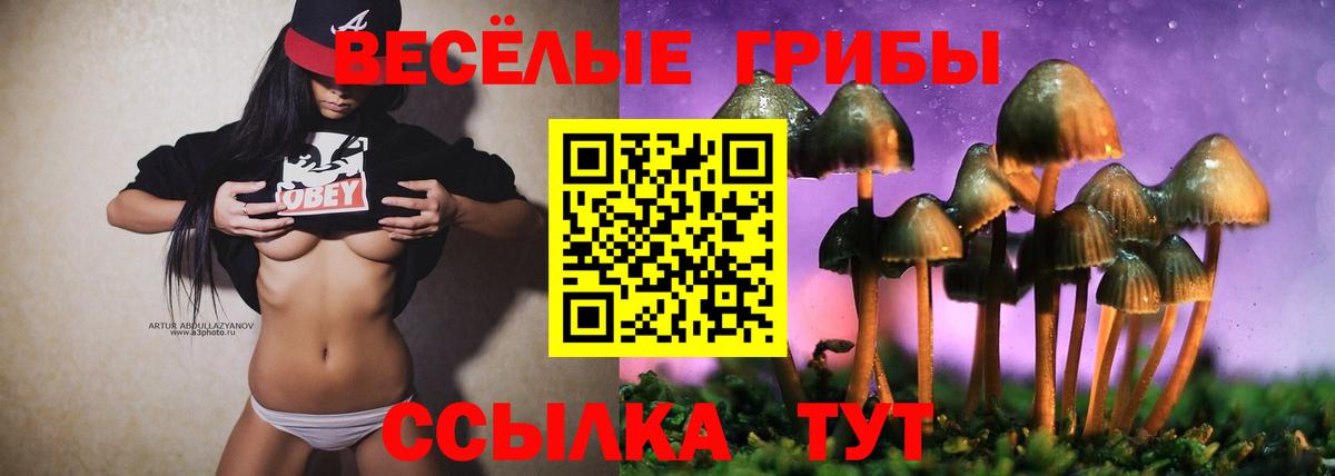 Псилоцибиновые грибы Cubensis Аргун